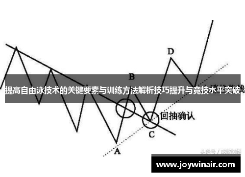 提高自由泳技术的关键要素与训练方法解析技巧提升与竞技水平突破